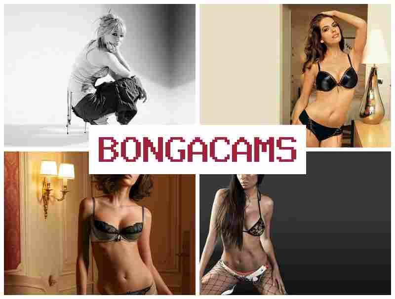 BNGACAMS 🔷 Chat Media Video
