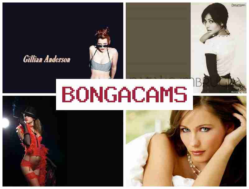 BINGA CAMS 💞 Webcam Bonga