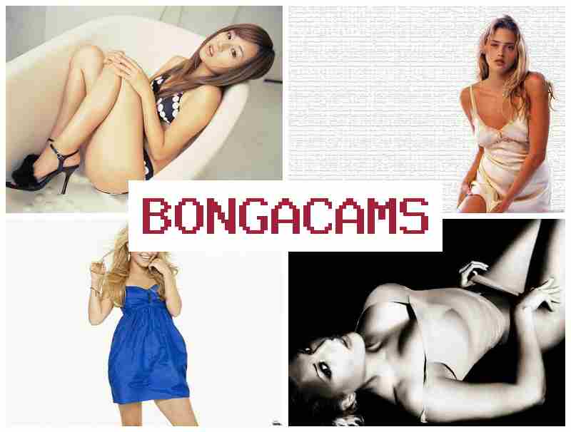 BLNGA CAMS 👧 Young Teen Webcam
