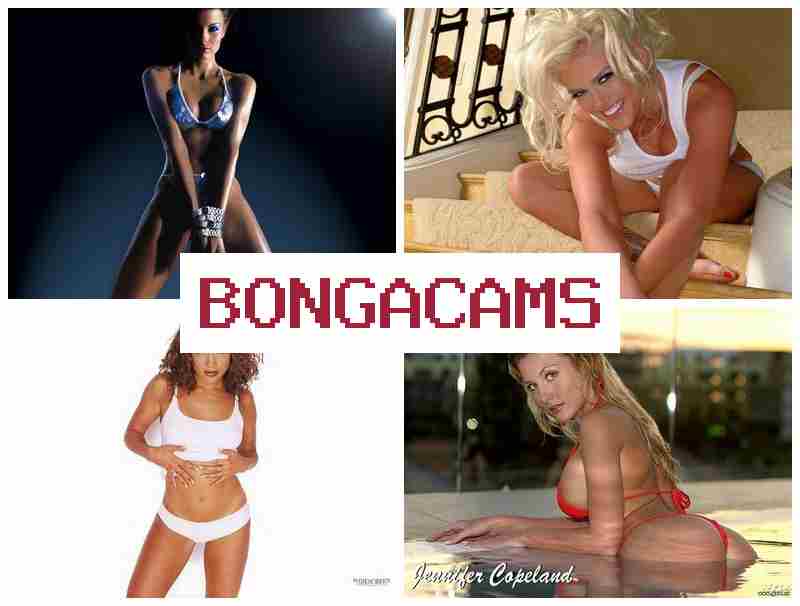BOBGA CAMS 💕 Anal Toys Porn Webcams