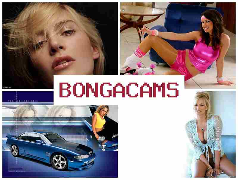 BOHGA CAMS 🔵 Webcams Creampies Porn