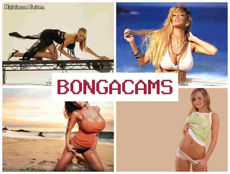 BOJGA CAMS 🆗 Webcam Video Pvt