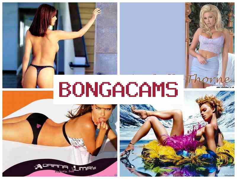 BONVA CAMS 🔵 Porno Mp4 Teen Webcam Solo