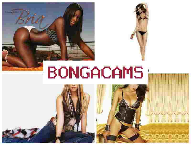 BONGGACAMS 🆒 Star Video Chat