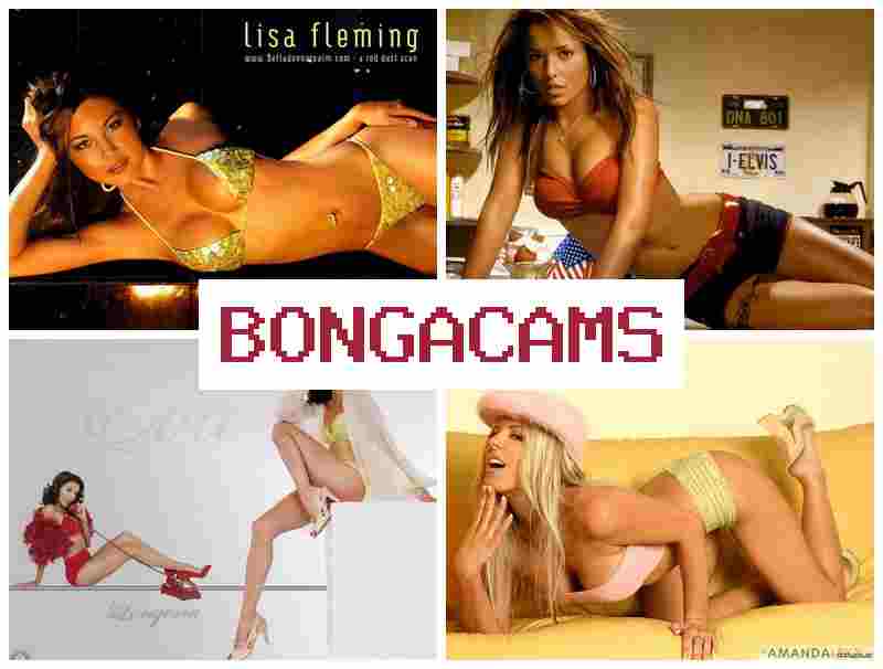 BONGZ CAMS 💙 Webcam Girls Telegram