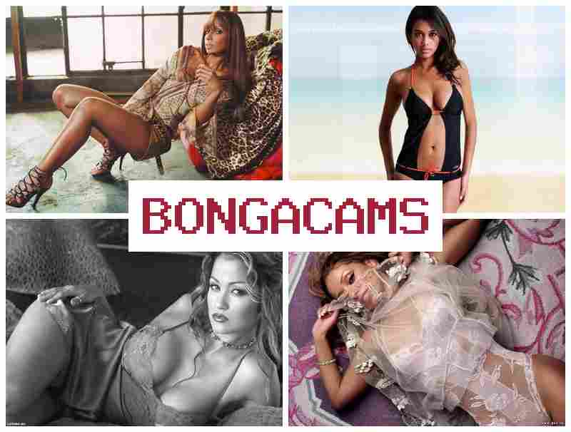 BONGA CAJS ♥ Webcam Video Recorder
