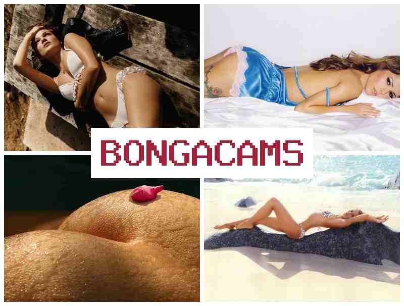 BONGA CAME 👍 Webcam Korean XXX