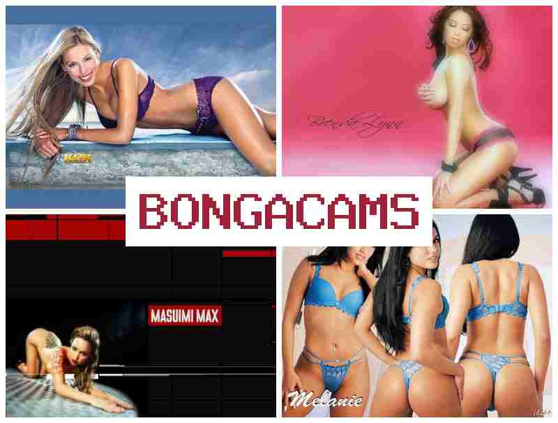 BONGA CAMZ ⭕ Webcam Model Latina