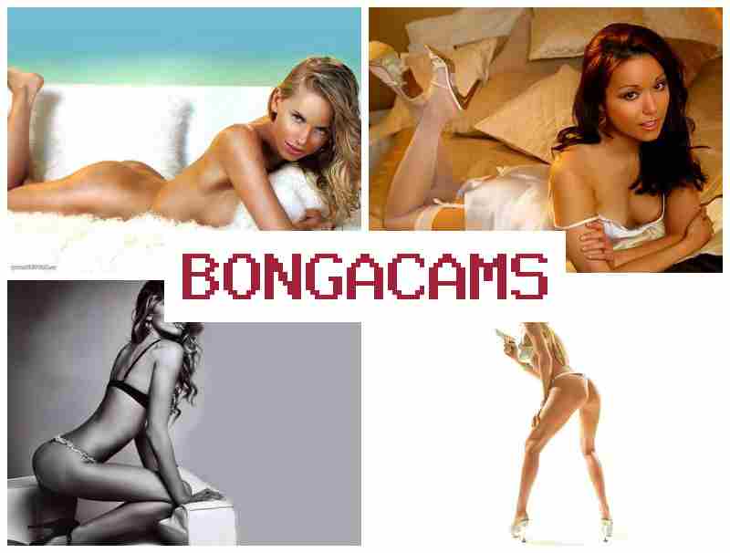 BONGACAAMS 📹 Webcams Life 18+