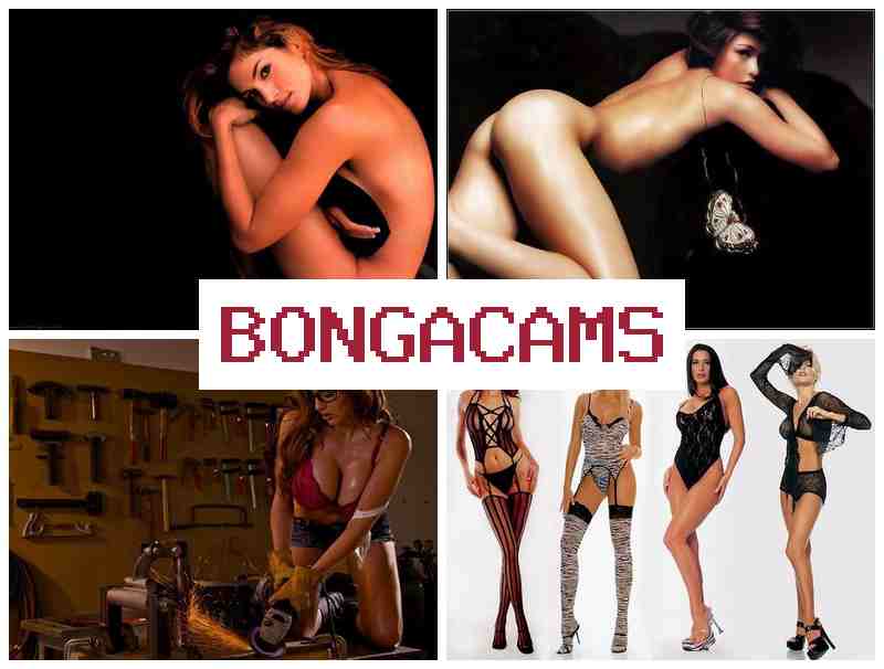 BONGACAMMS 💏 Sex Cams Video Chat