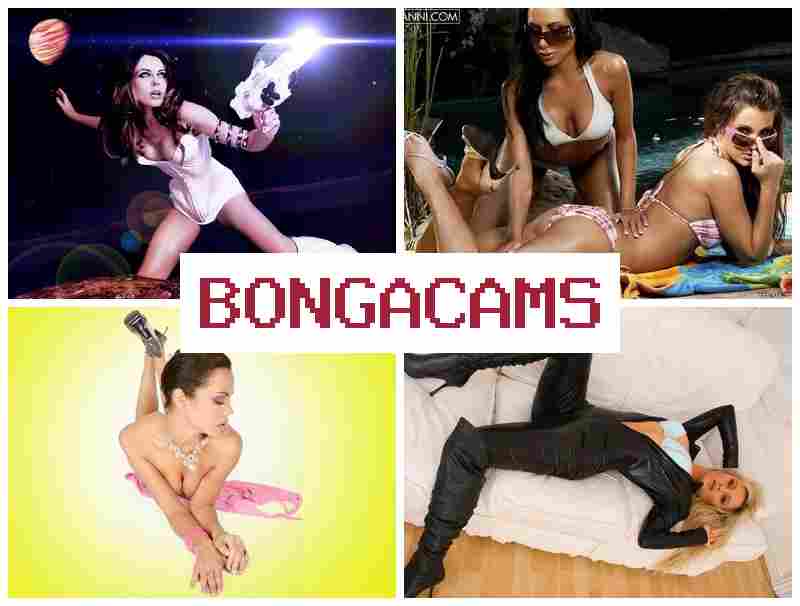 HONGACAMS 🔞 Webcams Toys Porno