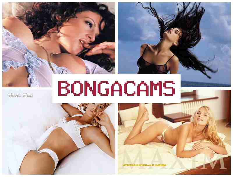 NONGACAMS 🔴 Webcam Stream 18+