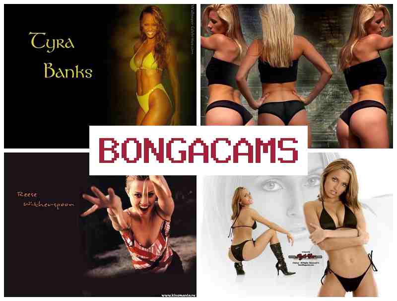 B0NGACAMS ☑️ Webcams Squirting