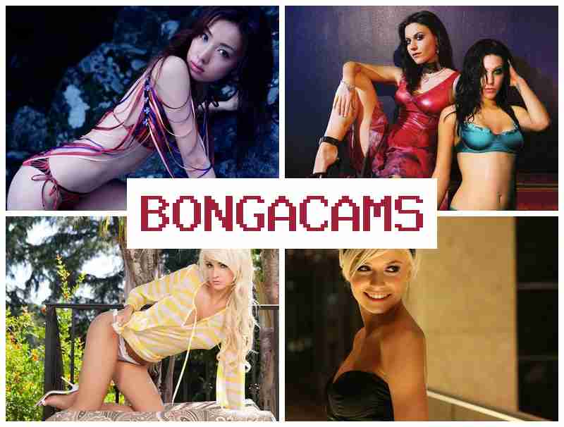BOJGACAMS 🆗 Webcam, Anal Masturbation Video