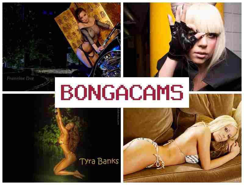 BONGSCAMS 🔵 Webcam Images