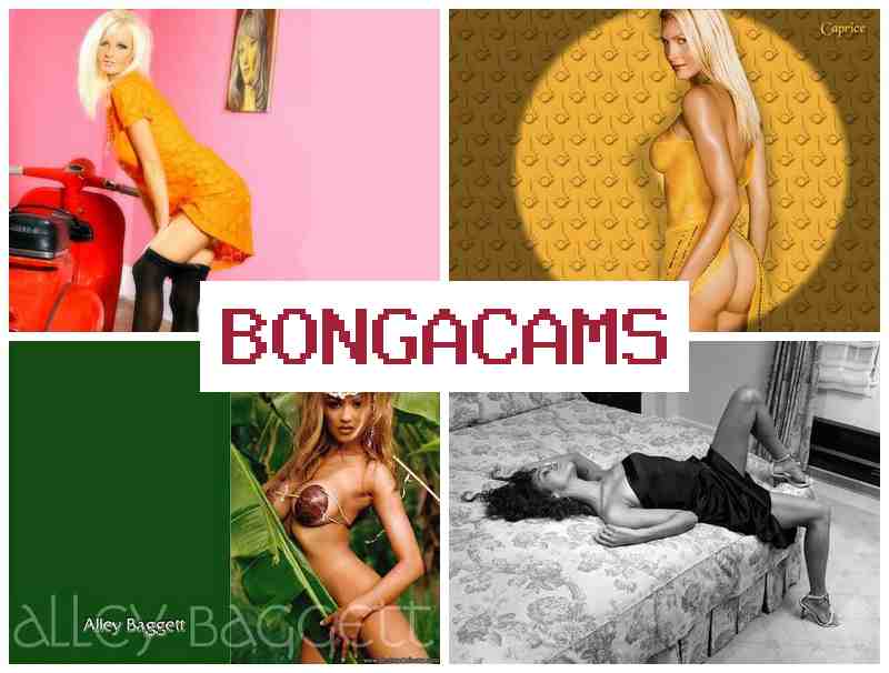 BONGZCAMS 🆕 Webcam Stream Show