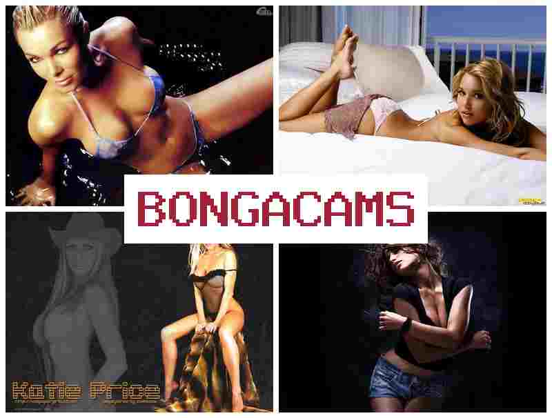 BONGAXAMS ᐉ Sugar Porn Webcam