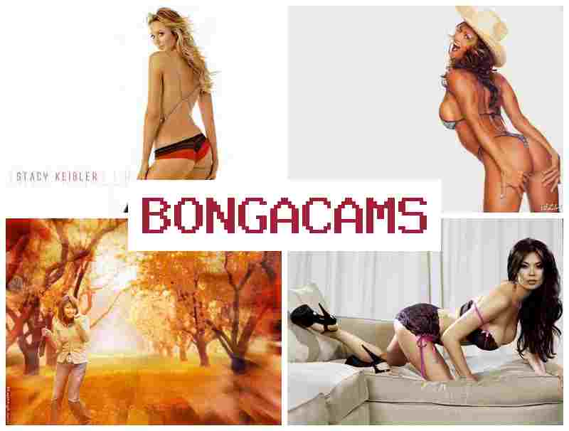 BONGAVAMS 💘 Ass Videochat