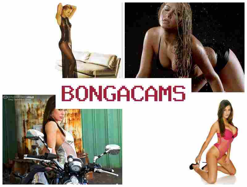 BONGACQMS 🔵 Masturbation, Webcam Live