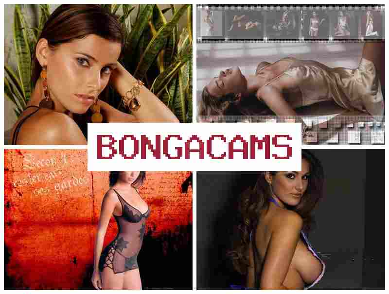 BONGACZMS 👩 World Webcam XXX