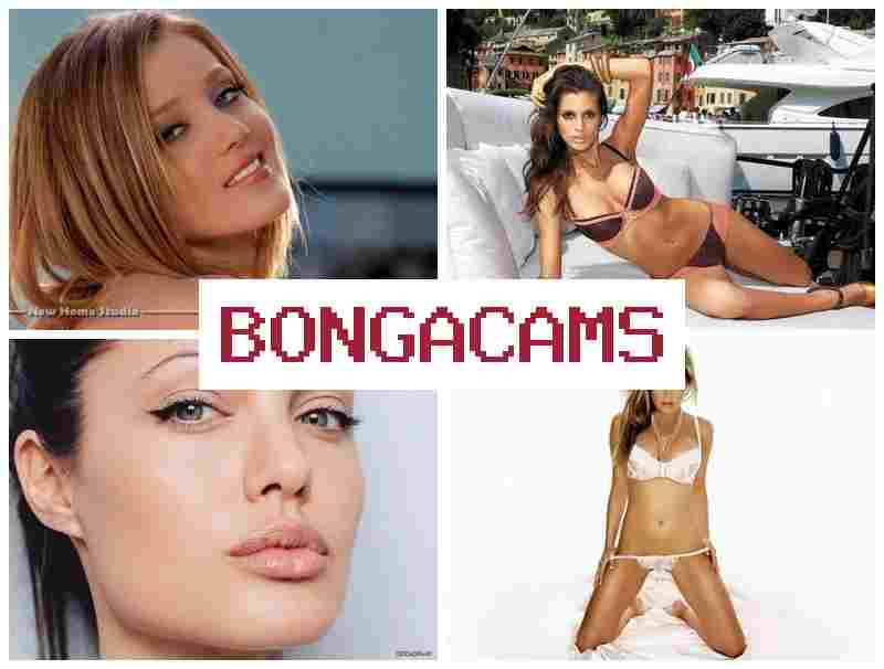 BONGACAKS 💓 Webcam Sex Amateur Cute