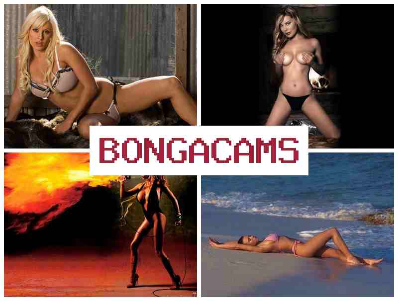 BONGACA,S 🔔 Webcam, Dildo Orgasm Porn
