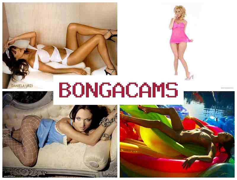 BONGACAMX 🔵 Webcams Girl COM