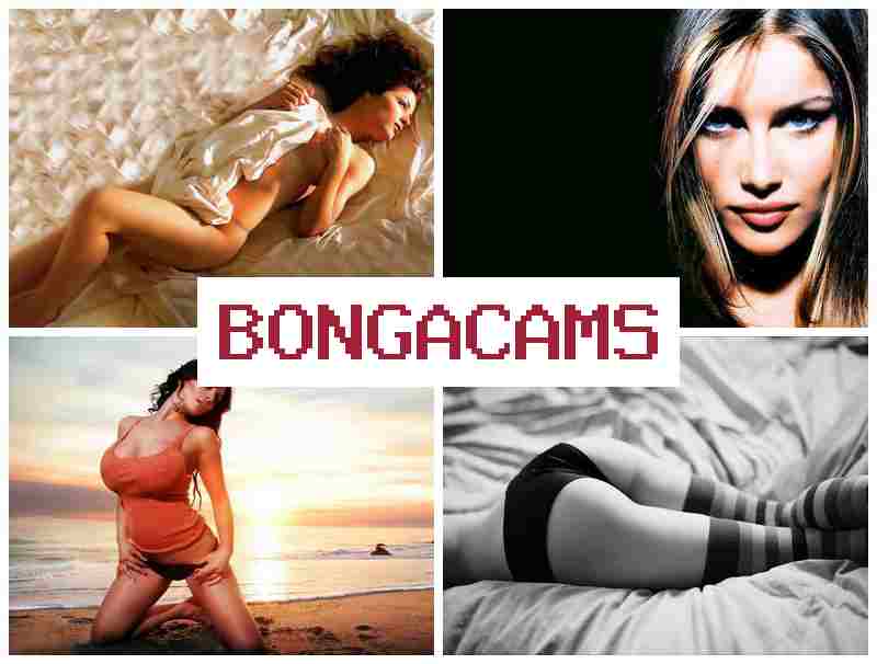 BOGA CAMS ᐉ Amateur Teen Solo, Webcam