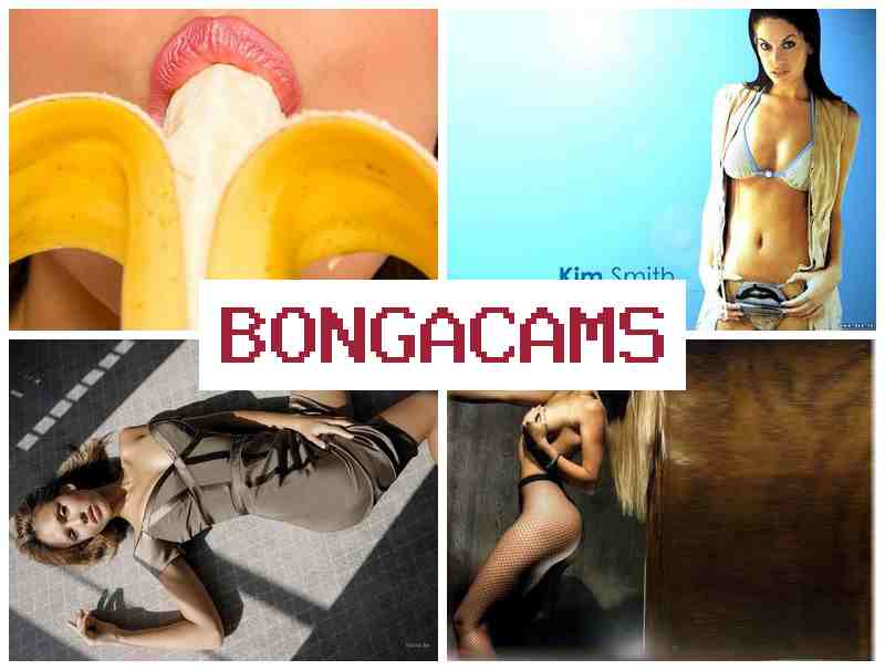 BONGA AMS 💜 Webcam, Teen Show Anal