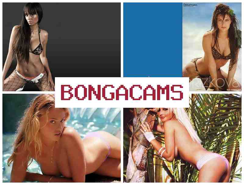 BOONGA CAMS 🔞 Working Webcam Porn