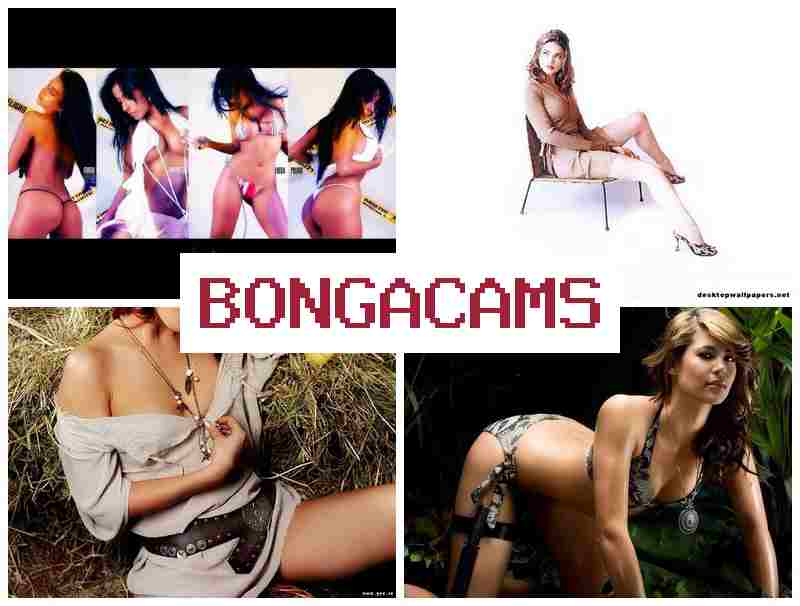 BONNGA CAMS 🆒 Dirty Talk Suck My Tits on Webcam