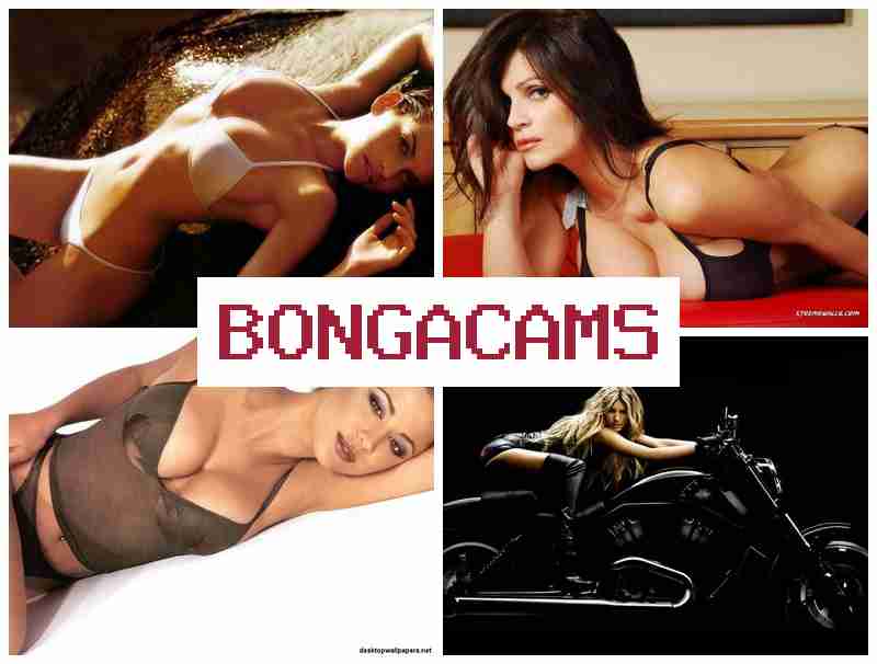 BONGA CAMSS 👩 Porn Webcam N