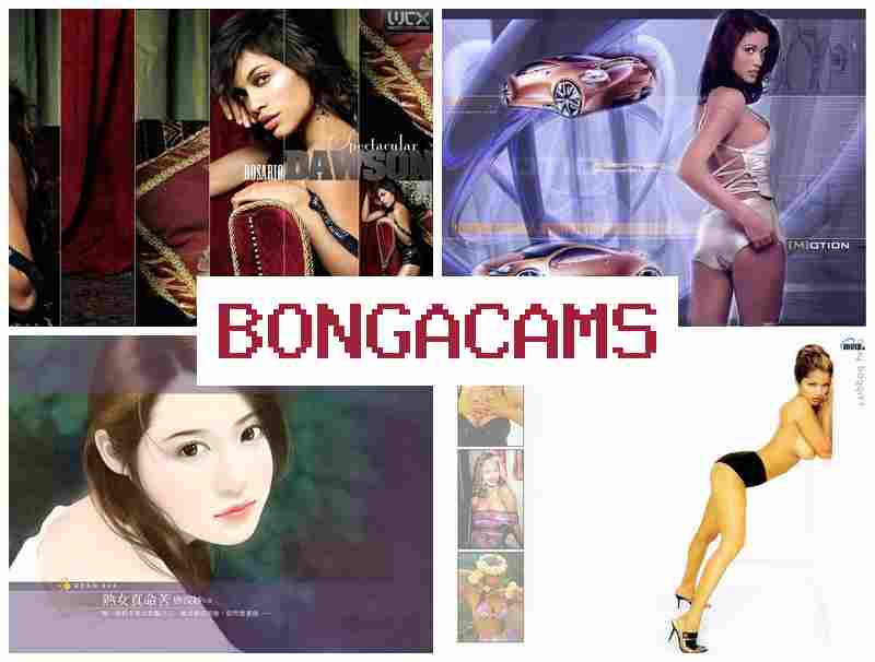 OBNGA CAMS 👩 Petite Webcam Sex
