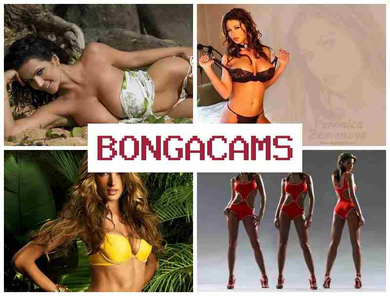BONG ACAMS ▒ Big German Webcam