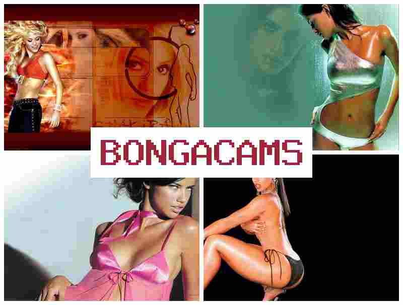 BONGAC AMS 👠 Foursome Threesome Sex on Webcam BDSM