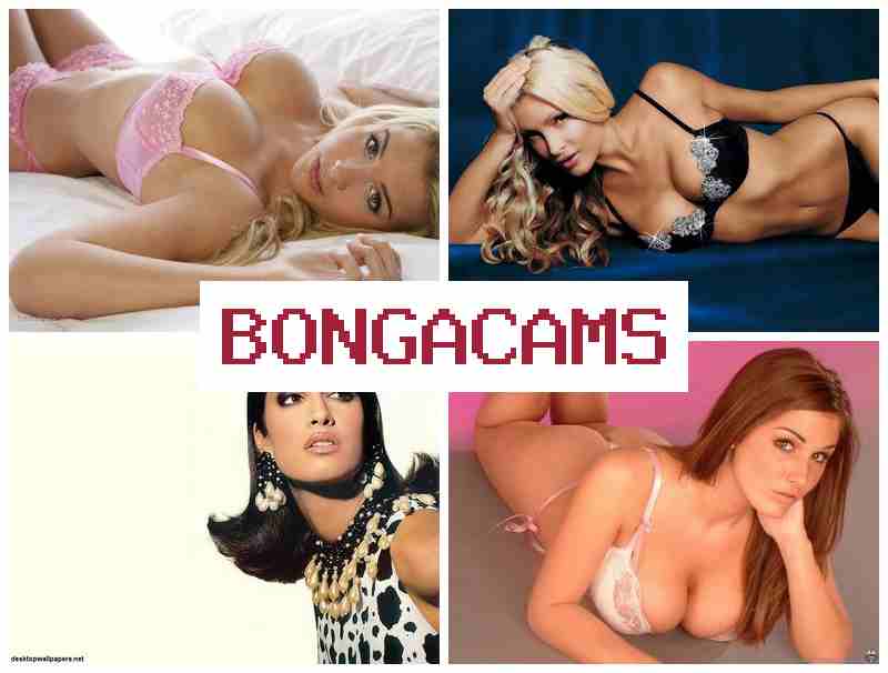 HONGA CAMS 🔻 Porno Son, Webcam